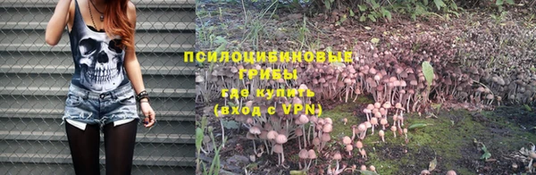 мет Кулебаки