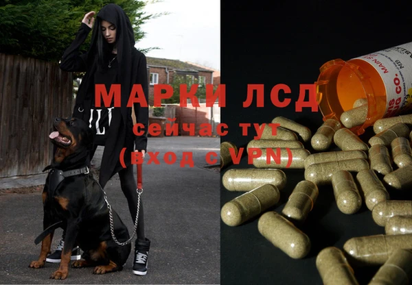 ALPHA PVP Куйбышев