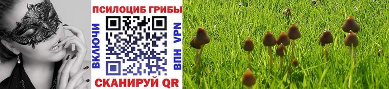 Галлюциногенные грибы Psilocybe  Купить  Учалы 